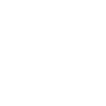 Illustration / Artwork